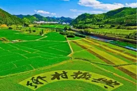 奇思妙想“农创客”，乡村振兴新力量图片