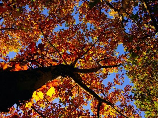 从1902年美到现在！威海这条870米的老街最近又有人扎堆了