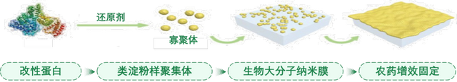 陕西省科学技术奖一等奖