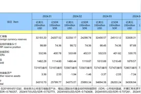 央行连续第六个月暂停增持黄金图片