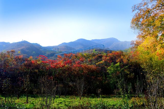 周末天气晴好，徒步去→