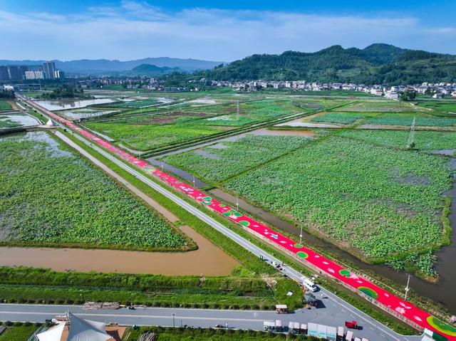 市州观察丨达州：沿途皆景，一路生“花”