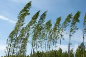 滚动 | 10级大风到达江苏，多地现8级以上大风图片