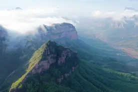 武当山最新发布：举报有奖图片