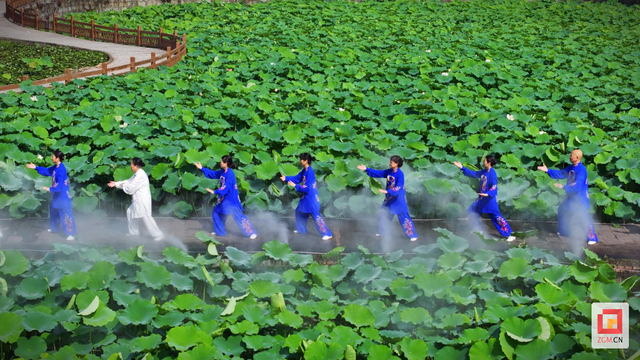 贡井区打造中医药健康旅游示范基地 推动文旅融合创新发展