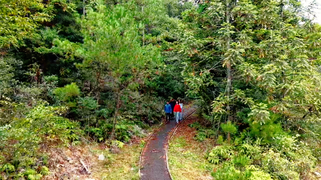 免费开放！闽清秋日生态游绝佳打卡地→