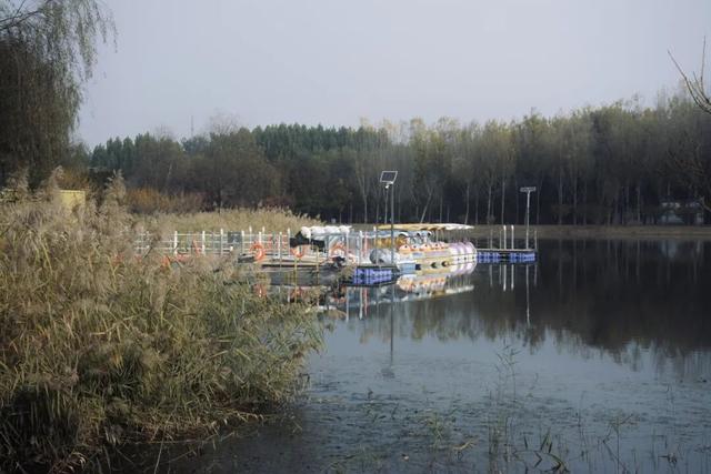 副中心的秋日画板已备好，等你来上色！