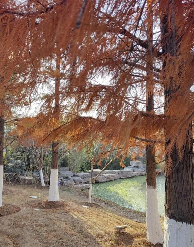 去荆门，撞进秋天怀里！