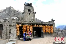 （走进中国乡村）世界“最佳旅游乡村”四川桃坪：千年羌寨盼八方宾朋图片