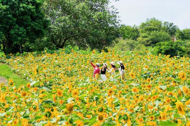 中秋、国庆期间，南宁这个地方有烟花秀→