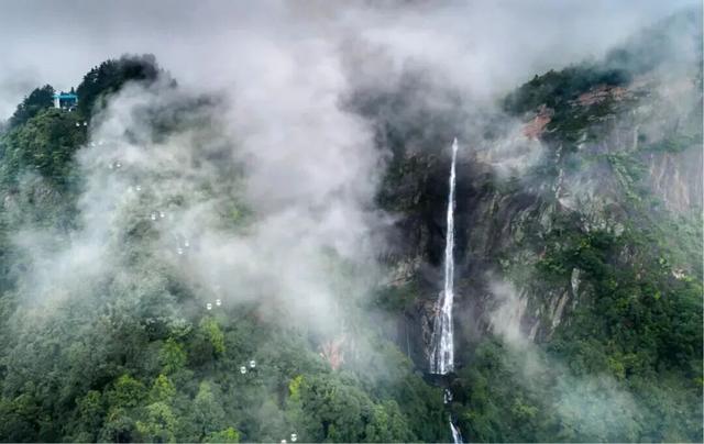一花一瀑一云烟，庐山春意正当时