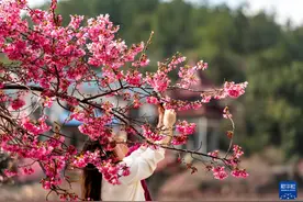 拥抱自然享春光图片