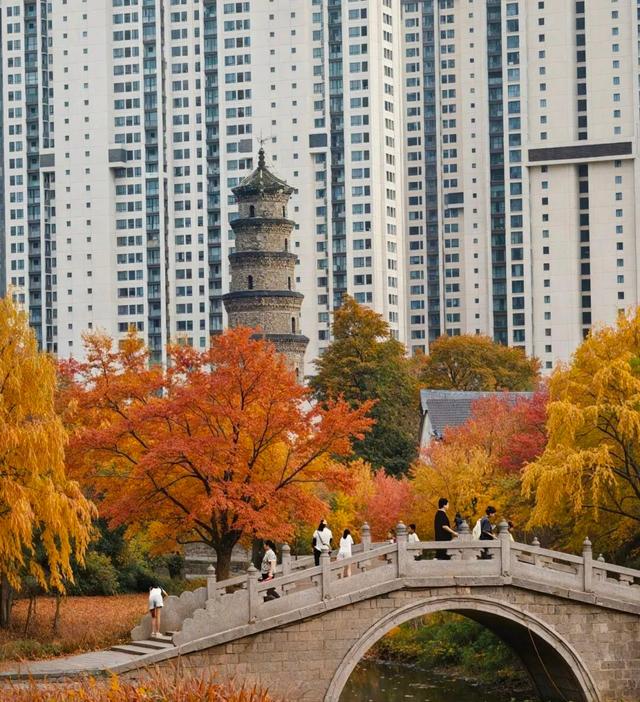 阜阳，给你点颜色看看！