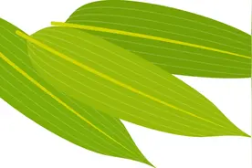 关于2024年端午节期间放假和加班工作安排的通知图片