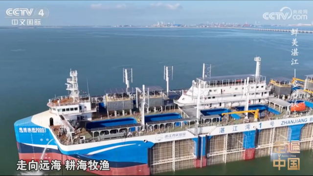 央视镜头下的多彩湛江，以海为媒绘就农文旅融合新图景