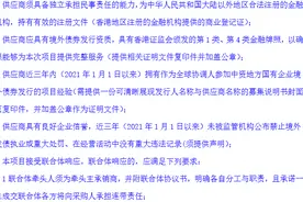 南阳城投控股拟发行5亿元境外债，选聘全球协调人图片