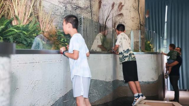 今天，谁是最靓的？