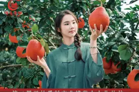 今天起，玉林可申领电子行驶证了，操作步骤→图片