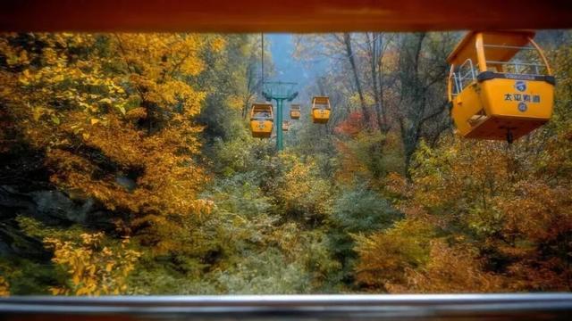 冉冉秋光色，今日又重阳！快用一场登高赏景晒一晒潮湿的心情~