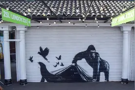 班克斯动物涂鸦连续现身伦敦，是艺术，还是营销？图片