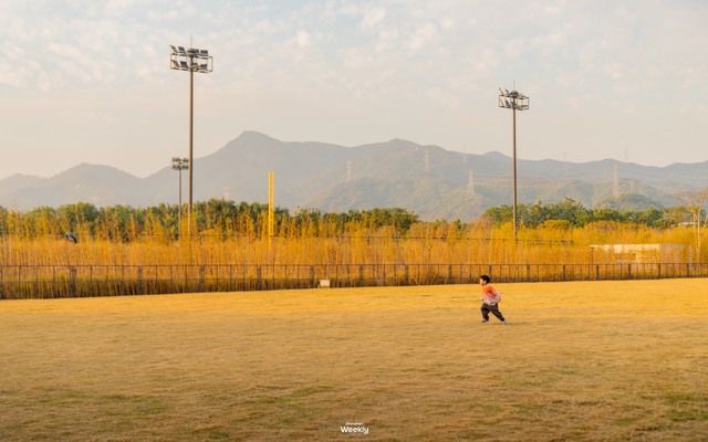 出发！去深圳最特别的「胖虎主题市集」，逛吃一天