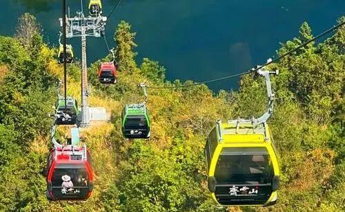 明日小雪！专家建议：多做这件事！（内有惊喜）