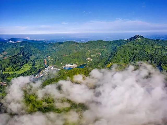 “神兽”已归笼，家长们是时候给自己放个假了