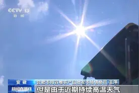 高温多雨致菜价上涨 山东等多地保障蔬菜“鲜”到餐桌图片