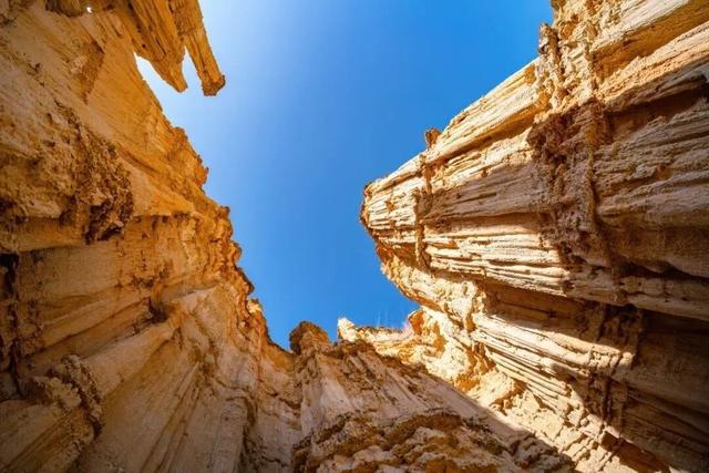 今天，楚雄要给你点颜色看看