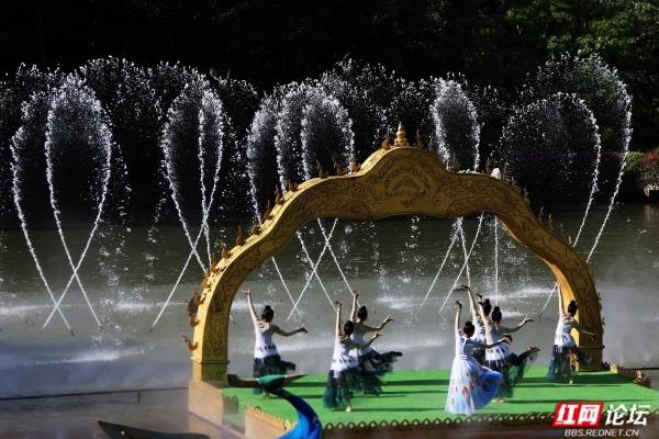 岁暖时刻丨西双版纳森林公园：彩裙碰彩伞，傣风裹着蕉香漫