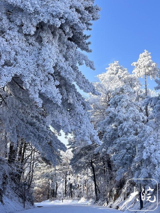 雪霁鹞落坪 蓝天白雪美如画（图）