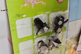 屡禁不止！“毒玩具”重现福州校园周边，家长很忧心！图片