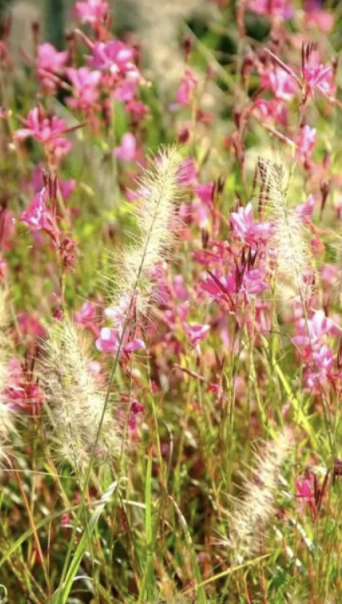 17万平方米绿廊上线！就在——