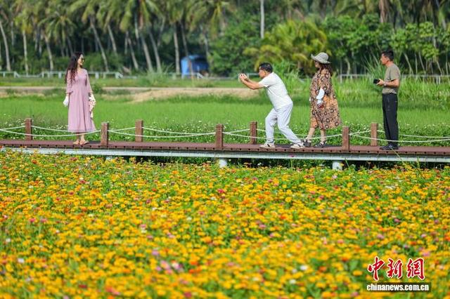 海南博鳌：绚烂花海引客来