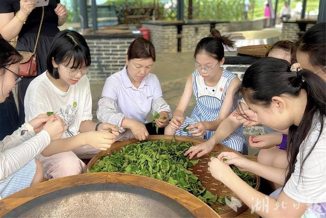 夷陵：三峡茶旅小镇开启“盖碗功夫茶”体验之旅