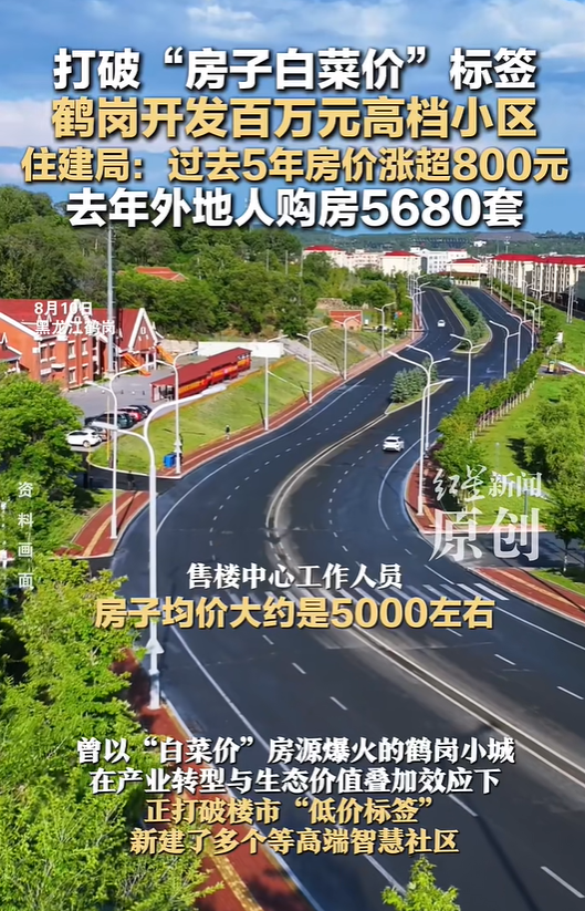 黑龙江鹤岗开发百万元高档小区