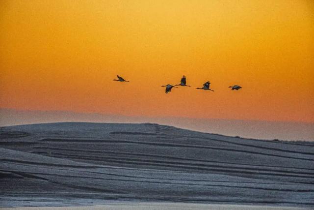 【你好·昭通】遇见大山包