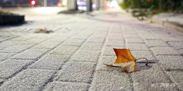 雪后的日照，美成水墨画！附最新闭园公告！