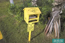 记者调查发现大多数养犬人自觉牵绳，但鲜有犬只戴犬牌图片