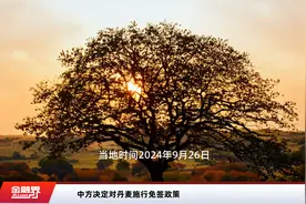 中方决定对丹麦施行免签政策视频封面