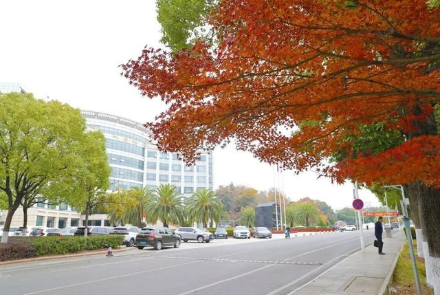 人少景美！洪山5处打卡地，周末约起