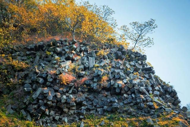 速藏启程！仪征秋季骑行一站式攻略，把秋景与趣味统统骑进眼里~