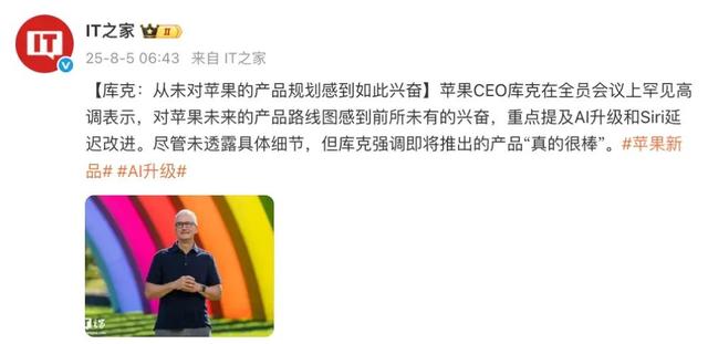 苹果AI今年能上吗
