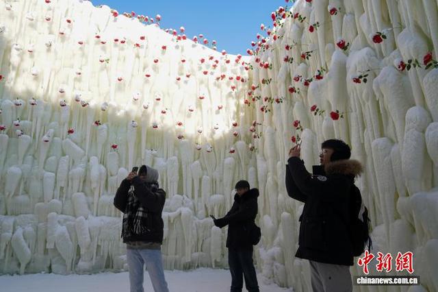 哈尔滨冰雪大世界“玫瑰冰瀑”吸引游客