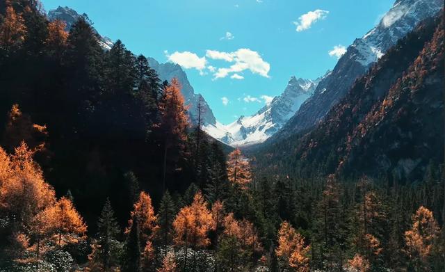 青睐绵阳 ‖ 雪山彩林上线!去平武王朗赴一场金秋视觉盛宴~