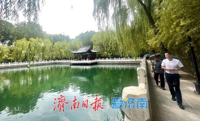 泉边夏日 戏水纳凉好景致 | 一年四季 泉在济南