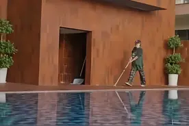 麦子阿姨的南下故事图片