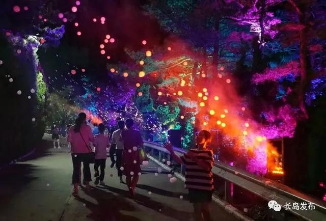 星落入海,夜宴仙境:长岛夏夜幻境与舌尖上的海潮交响