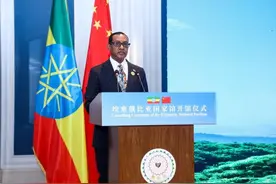 埃塞俄比亚大使点赞中国零关税政策：为埃塞带来广阔机遇图片