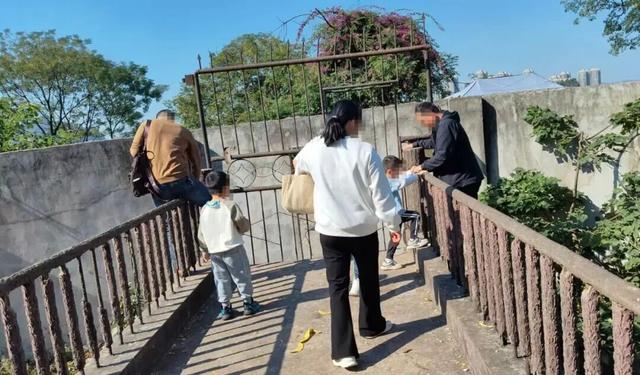 垃圾遍地、道路崩塌、小孩被抓……柳州这座“网红”废弃猴山，打卡该停了！